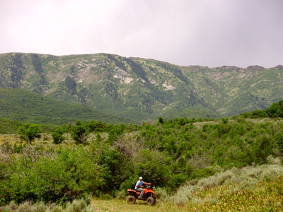 4-wheeling