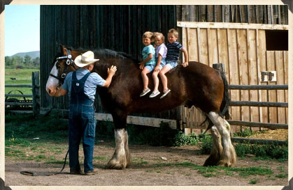 kids on horse