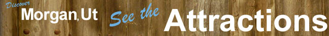 this is the attractions logo
