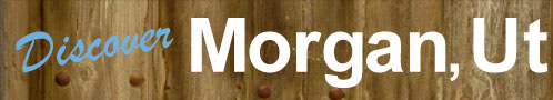 Morgan homepage logo